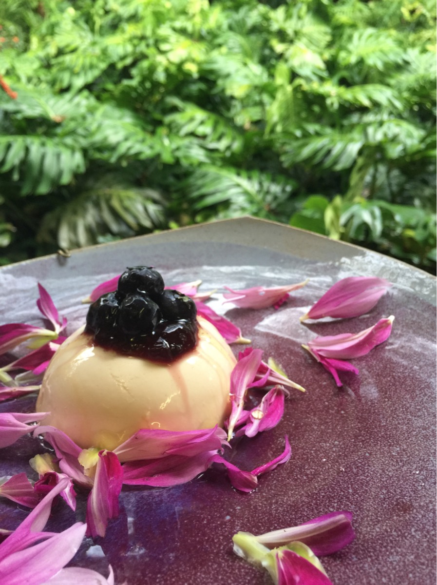 Panna Cotta